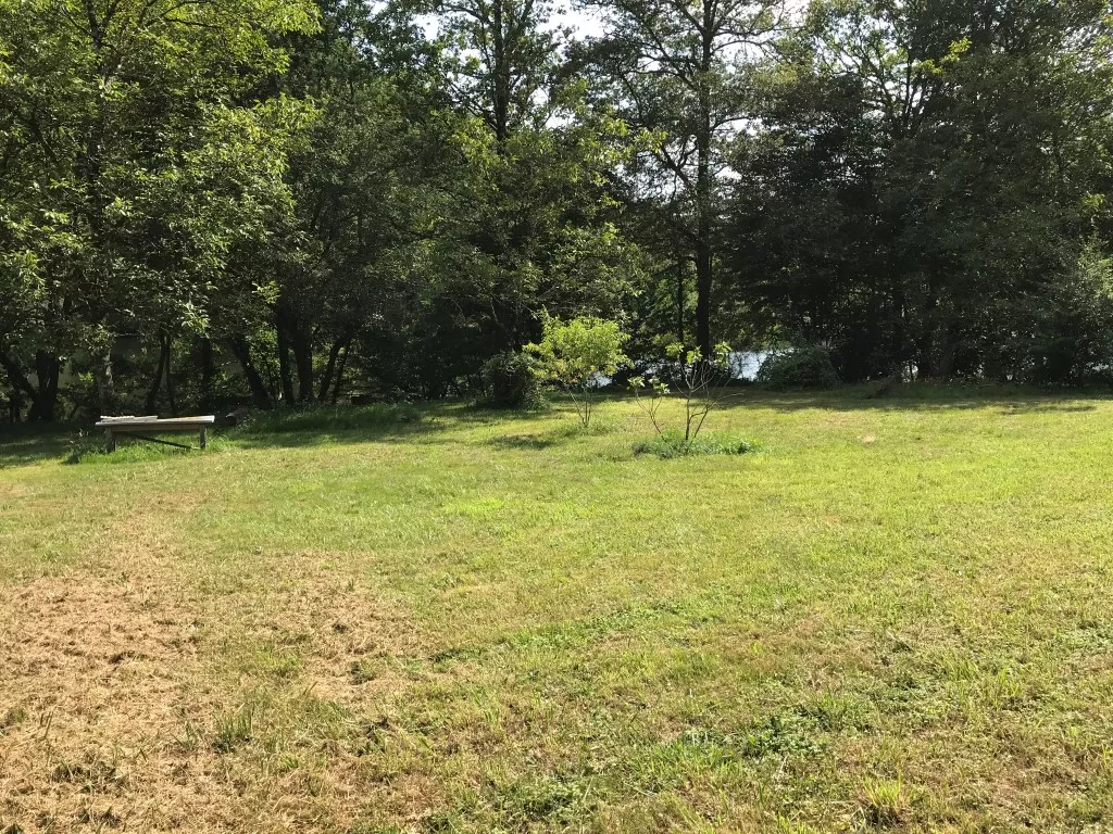 Joli terrain constructible au bord de la Dordogne