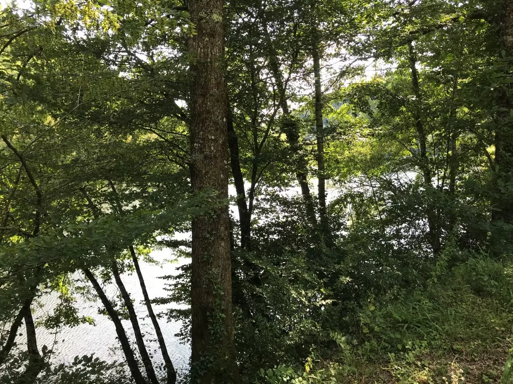 Joli terrain constructible au bord de la Dordogne