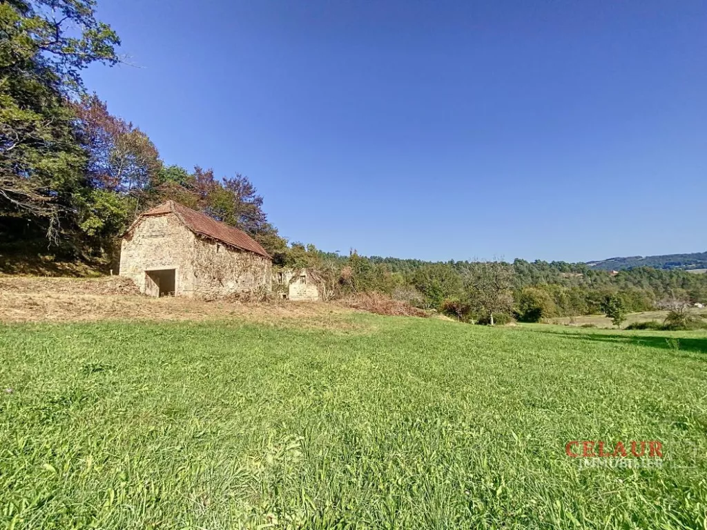 GRANGE A RESTAURER SUR 1.3 HA