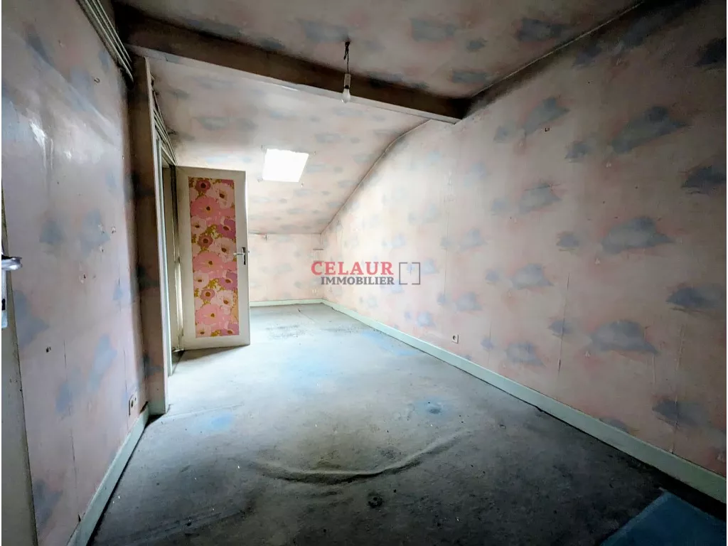 IMMEUBLE DE RAPPORT A RENOVER