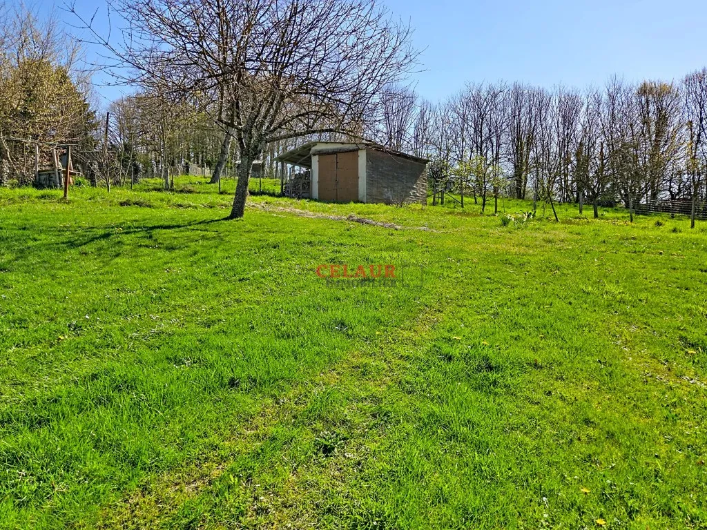 CHAMBOULIVE : MAISON ET SON JARDIN